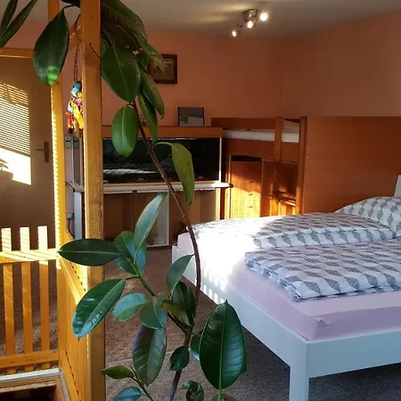Apartment Am Kirchberg Kurort Steinbach-Hallenberg