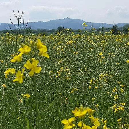 Am Kirchberg